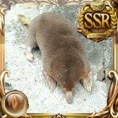 佐紗@お仕事ちゃんを置き去りに出来なかったもぐら