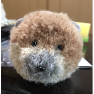 緑茶倶楽部