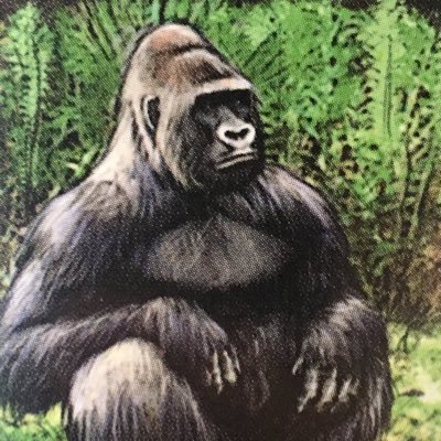 ショーゴ@闇のボードゲーマー