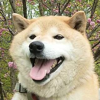 イイダマサムネ