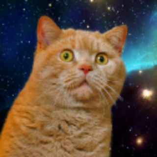 space cat
