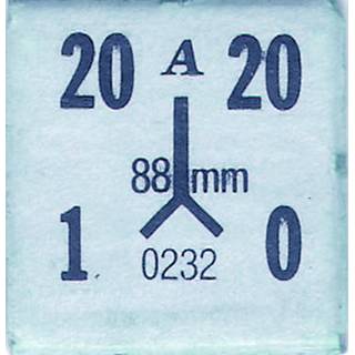 鴉鳩（あはと）・アハト