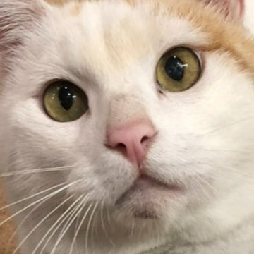 Kyoko@ボンジュール庄内|ブログとかラジオやってるin酒田