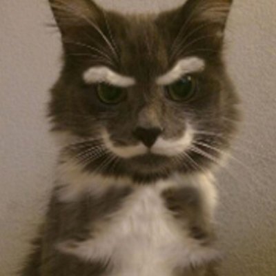 卓上劇団エリュシオン(ＴＲＰＧ & ボードゲーム）サークル