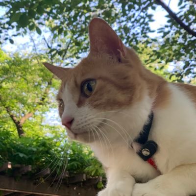 恵比寿ろん亭🥂