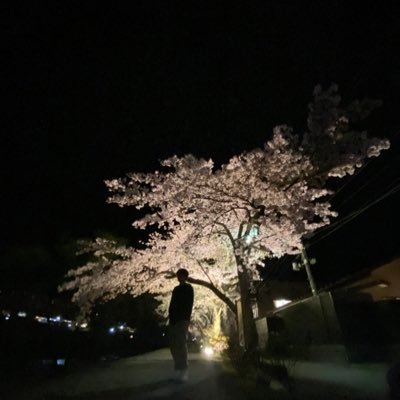 バサバサバサヲ