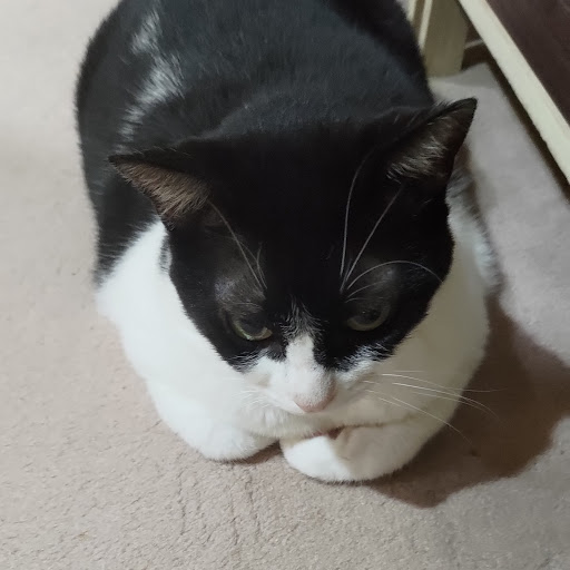 たいたん
