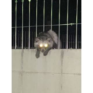 サTo(ボドゲアカ)