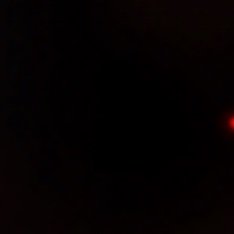 遺伝子組み換えでない