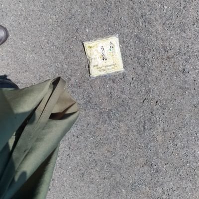 犬ではない何か