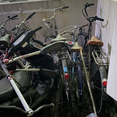 ルイボスティー