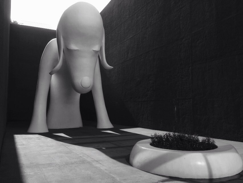 ひでハッキネン