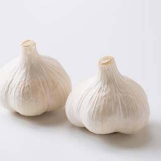 ニンニク愛好家