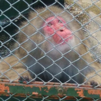 名前からの脱出(ノネム)