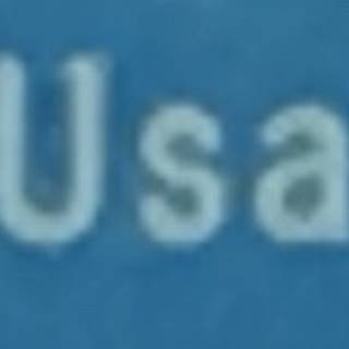 USA(うさ)