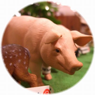 フジマキ