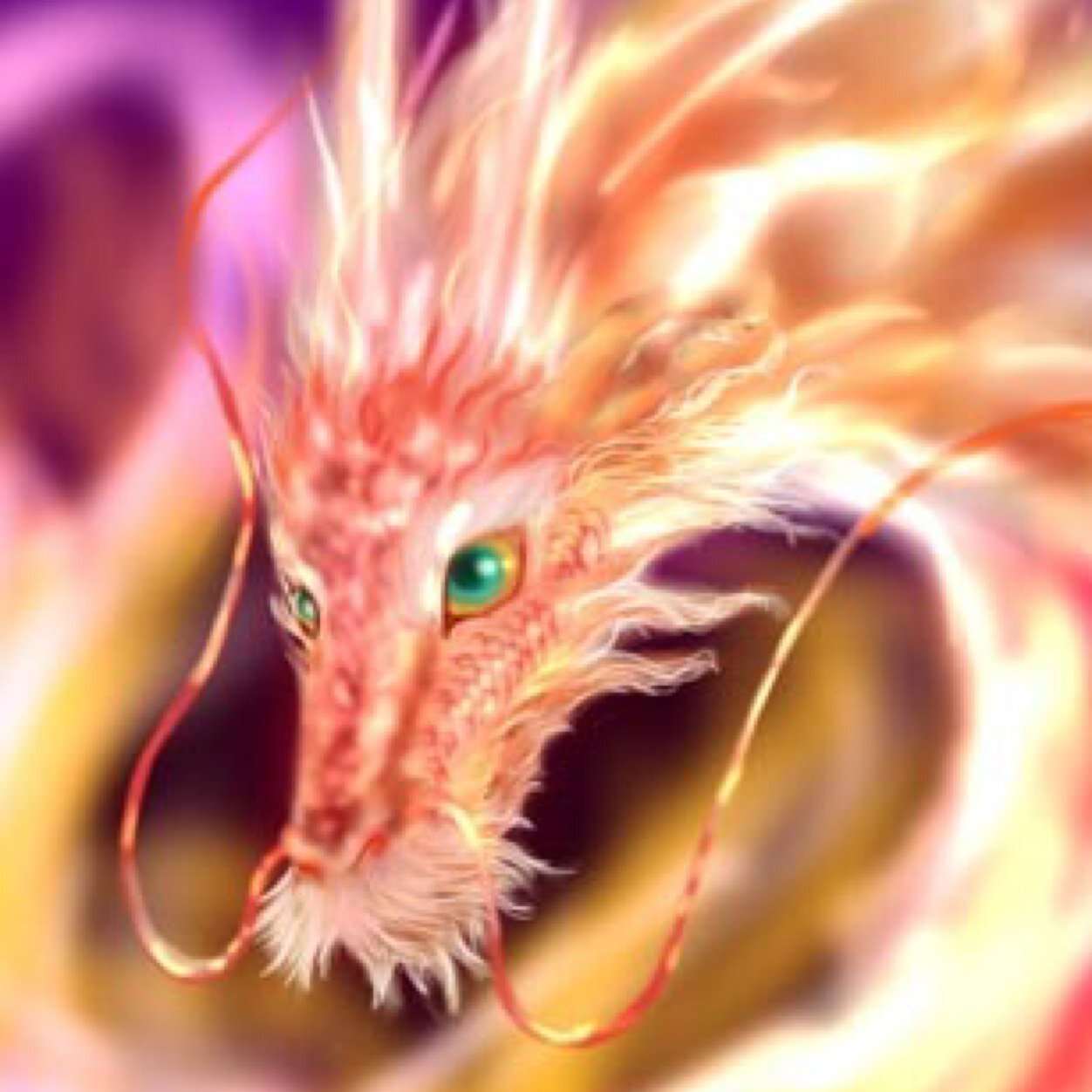 りゅう@ボドゲ垢