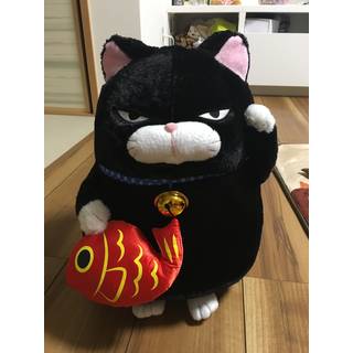 猫丸