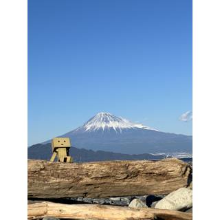 さむ@ダンボーすき〜