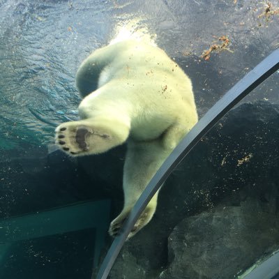 (  ⚫︎ー⚫︎  )ゆか（ ●━● ）