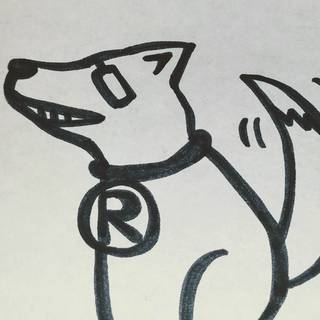 カルピス