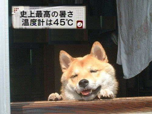 だだだ