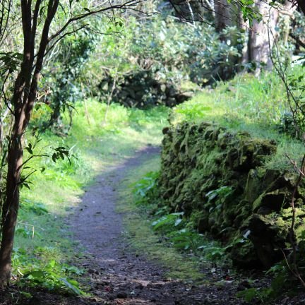 みっちー@謎解き、ボードゲーム