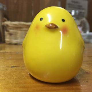 ぱらだいす