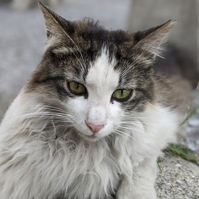 たくちくゲームズ